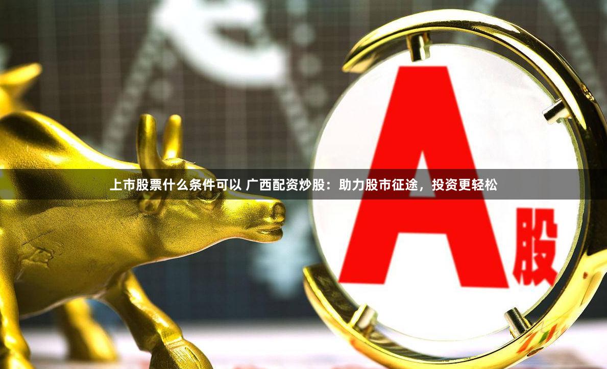 上市股票什么条件可以 广西配资炒股：助力股市征途，投资更轻松