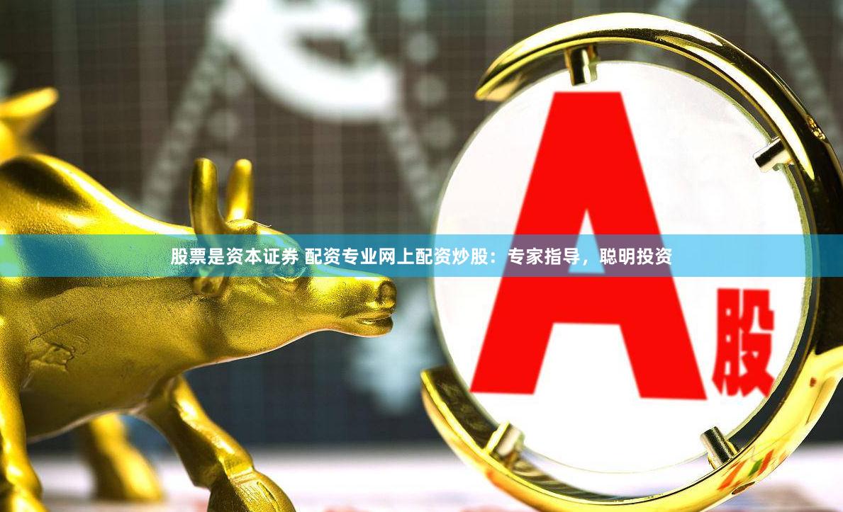 股票是资本证券 配资专业网上配资炒股：专家指导，聪明投资