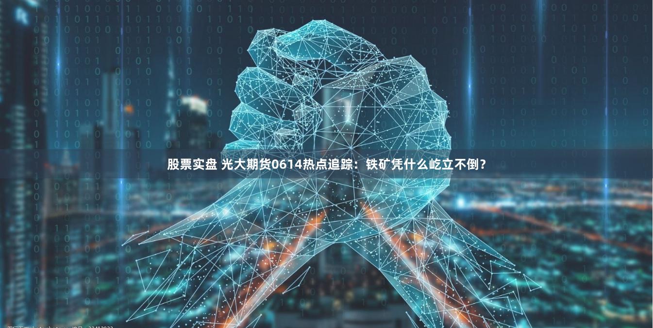 股票实盘 光大期货0614热点追踪：铁矿凭什么屹立不倒？