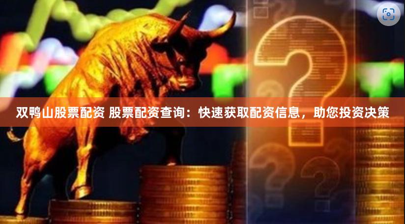 双鸭山股票配资 股票配资查询：快速获取配资信息，助您投资决策