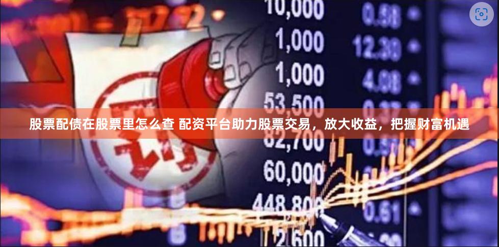 股票配债在股票里怎么查 配资平台助力股票交易，放大收益，把握财富机遇